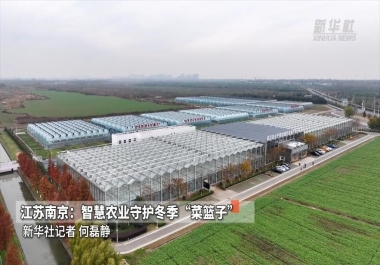 1e25c547-9b54-4617-bd33-da24c168e363.jpg